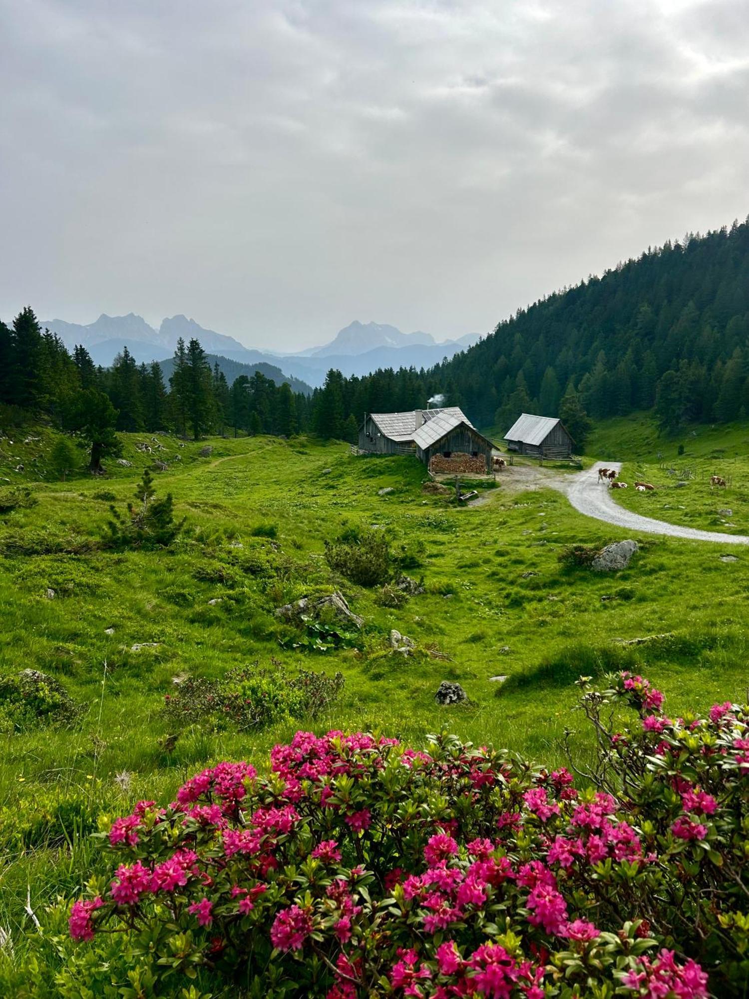Apartment Urlaub Am Bauernhof Familie Roessler Vlg. Spor *