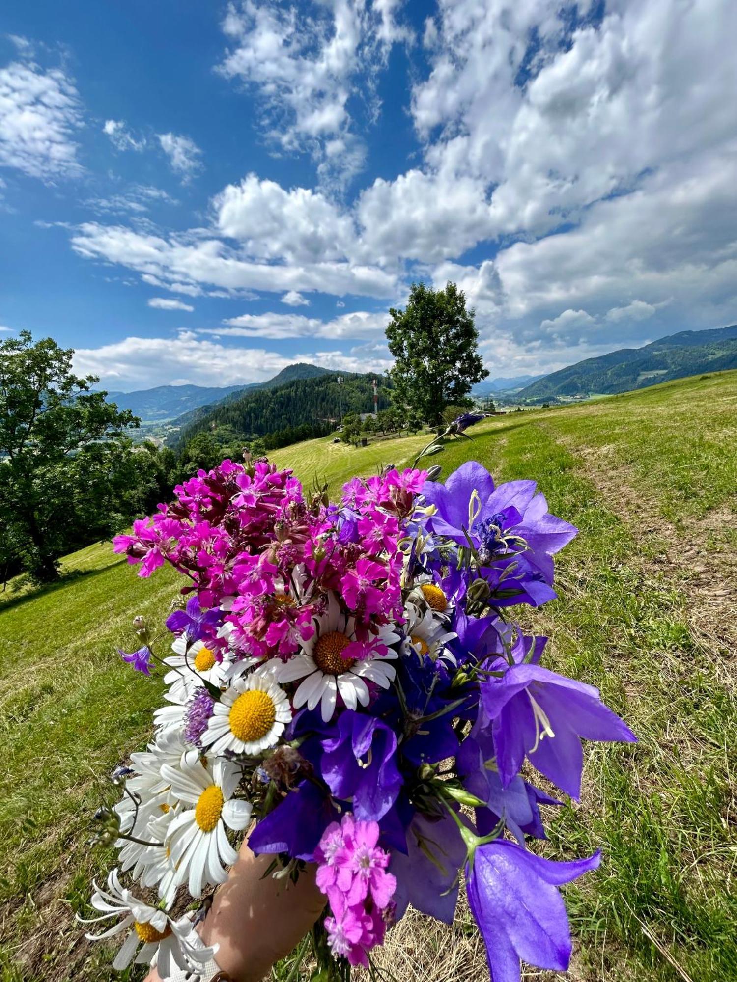 Apartment Urlaub Am Bauernhof Familie Roessler Vlg. Spor